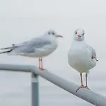 MeerZeit - maritime FeWo in Timmendorfer Strand